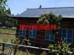 樹(shù)脂瓦案例圖片展示